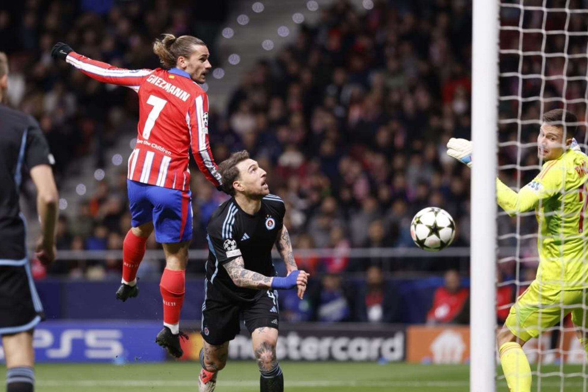 了他们对于 了他们对于